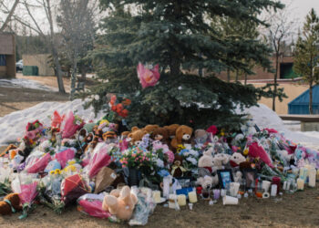 Mother of British Columbia Shooting Victim Sues OpenAI