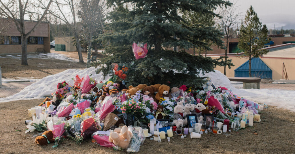 Mother of British Columbia Shooting Victim Sues OpenAI