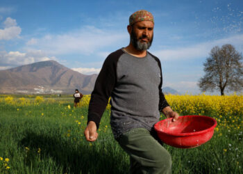 Global Food Supply Faces a Dangerous Bottleneck as Iran War Persists