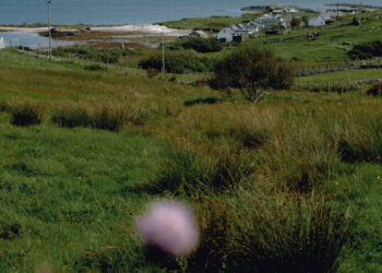 In Tana French’s New Novel, the Secrets Are Dark and Jagged