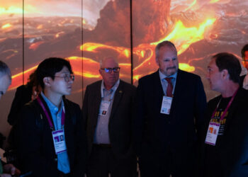 How Clean Energy Firms Are Trying to Survive the Trump Era