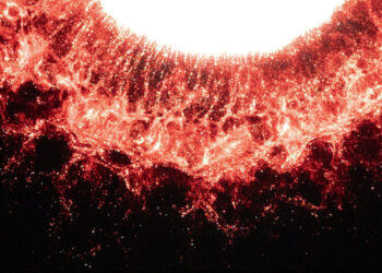 San Francisco Ballet Pulls Out of Kennedy Center Performances