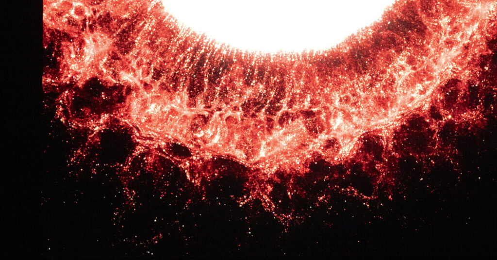 San Francisco Ballet Pulls Out of Kennedy Center Performances