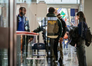 ICE May Remain at Airports Even After T.S.A. Pay Resumes, Border Czar Says