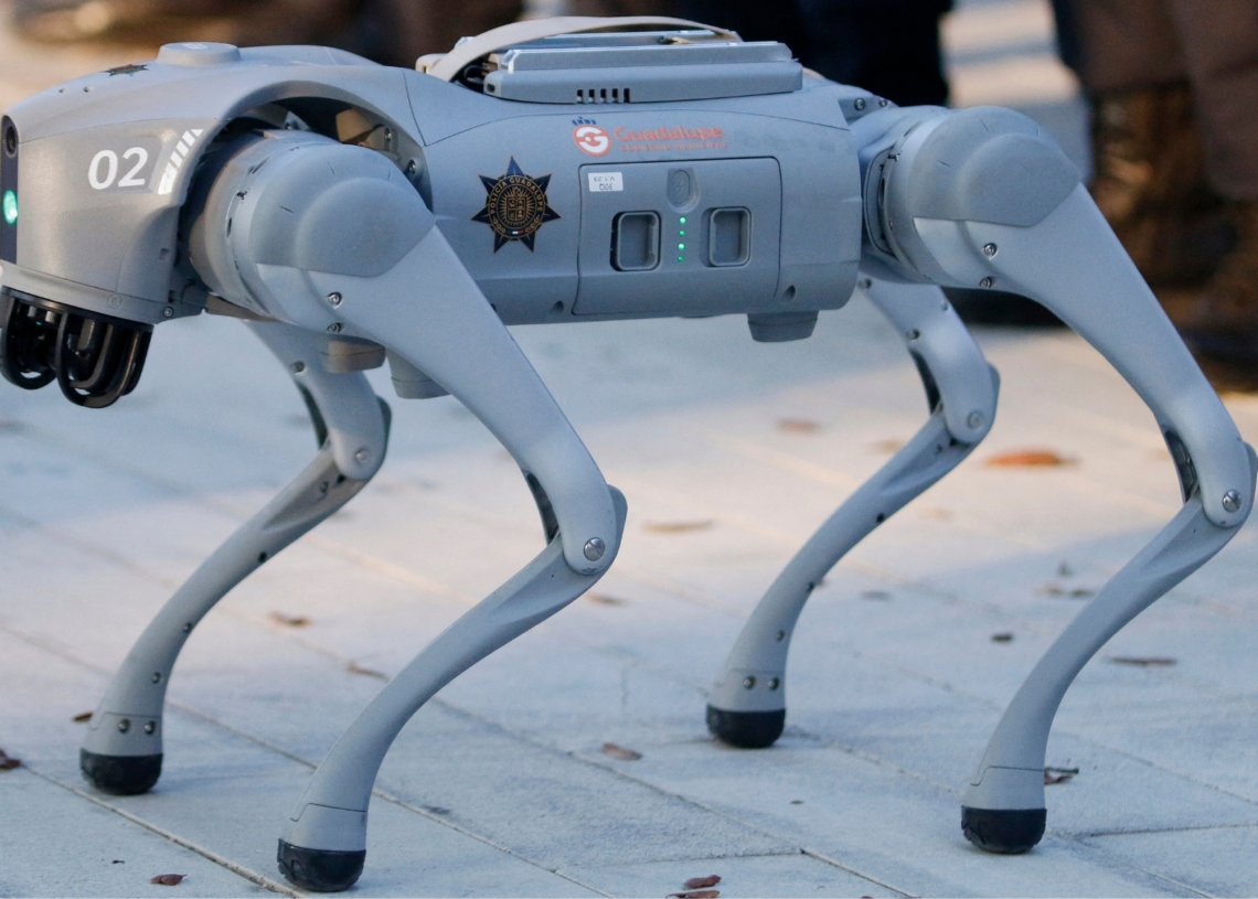 $300,000 Robot Dogs Are Guarding AI Data Centers. Are We Doomed, Chat?