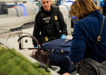 What We Know About the T.S.A. and ICE Presence at Airports