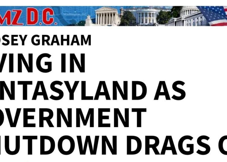 TMZ Sics Its Tipsters on a New Breed of Celebrity Villain: Members of Congress