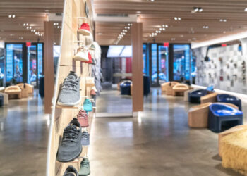 Allbirds, Once Silicon Valley’s Favorite Shoe, Sells for $39 Million