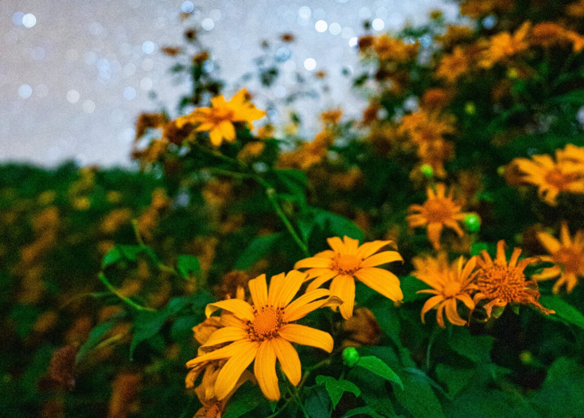 4 Zodiac Signs Set for Powerful Fresh Starts This Spring Equinox