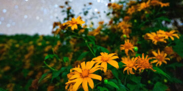 4 Zodiac Signs Set for Powerful Fresh Starts This Spring Equinox