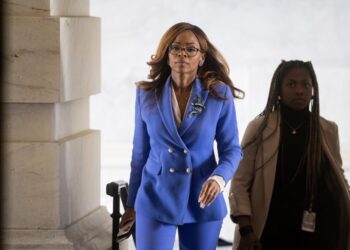 House Democrat accused of misspending covid-19 money could be expelled