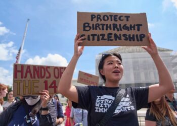 Trump officials cite white supremacists in bid to end birthright citizenship