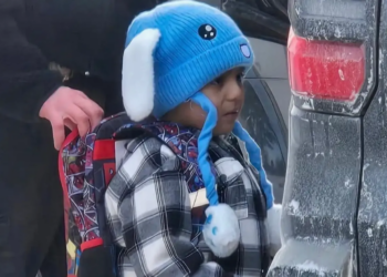 Rachel Maddow reveals ugly details of how 5-year-old in bunny hat ended up in a Trump jail