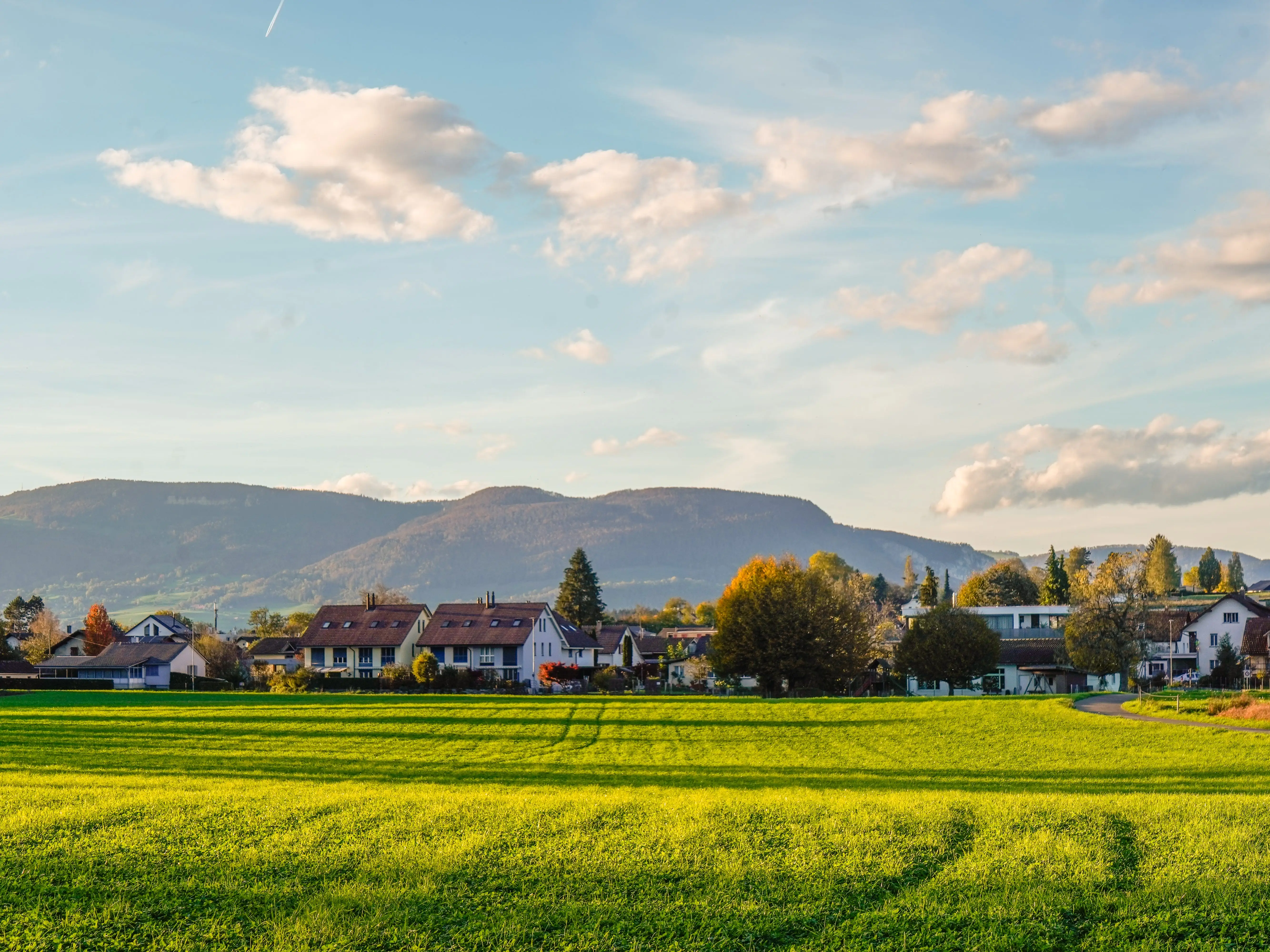 A sunlit field in Roggwil, Switzerland.