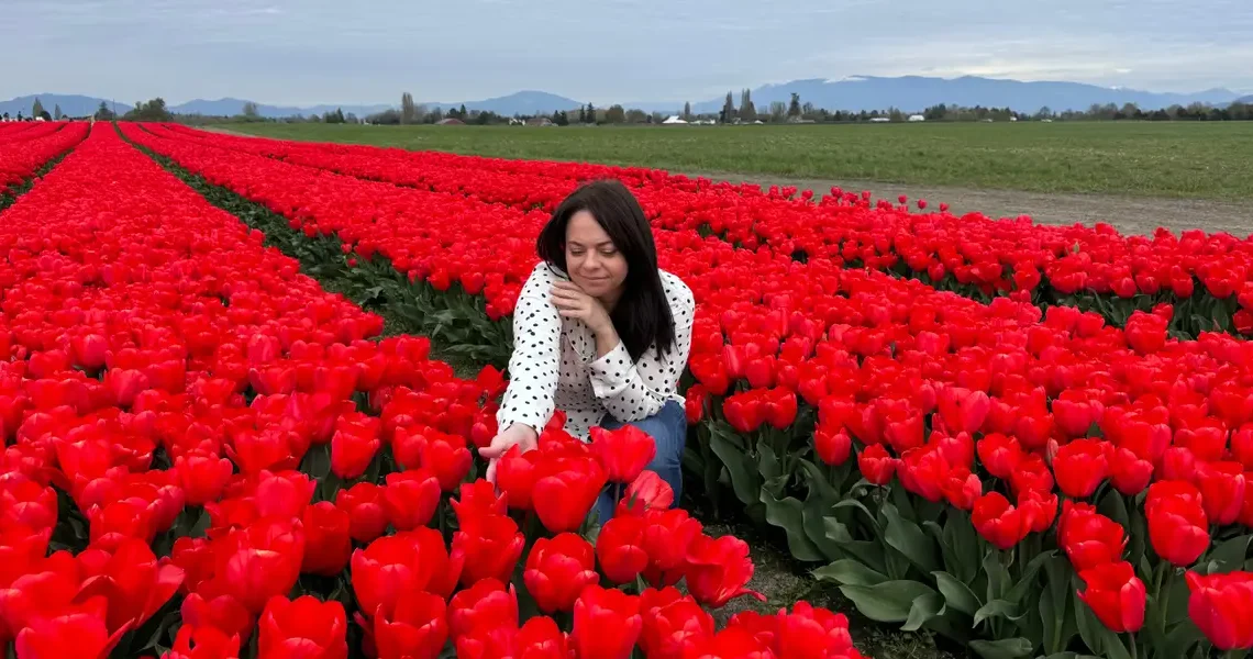 Forget traveling to the Netherlands. I saw millions of colorful tulips without having to leave the US.