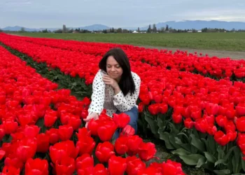 Forget traveling to the Netherlands. I saw millions of colorful tulips without having to leave the US.