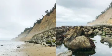 A National Geographic photographer gave me 4 tips for taking better pictures with my phone