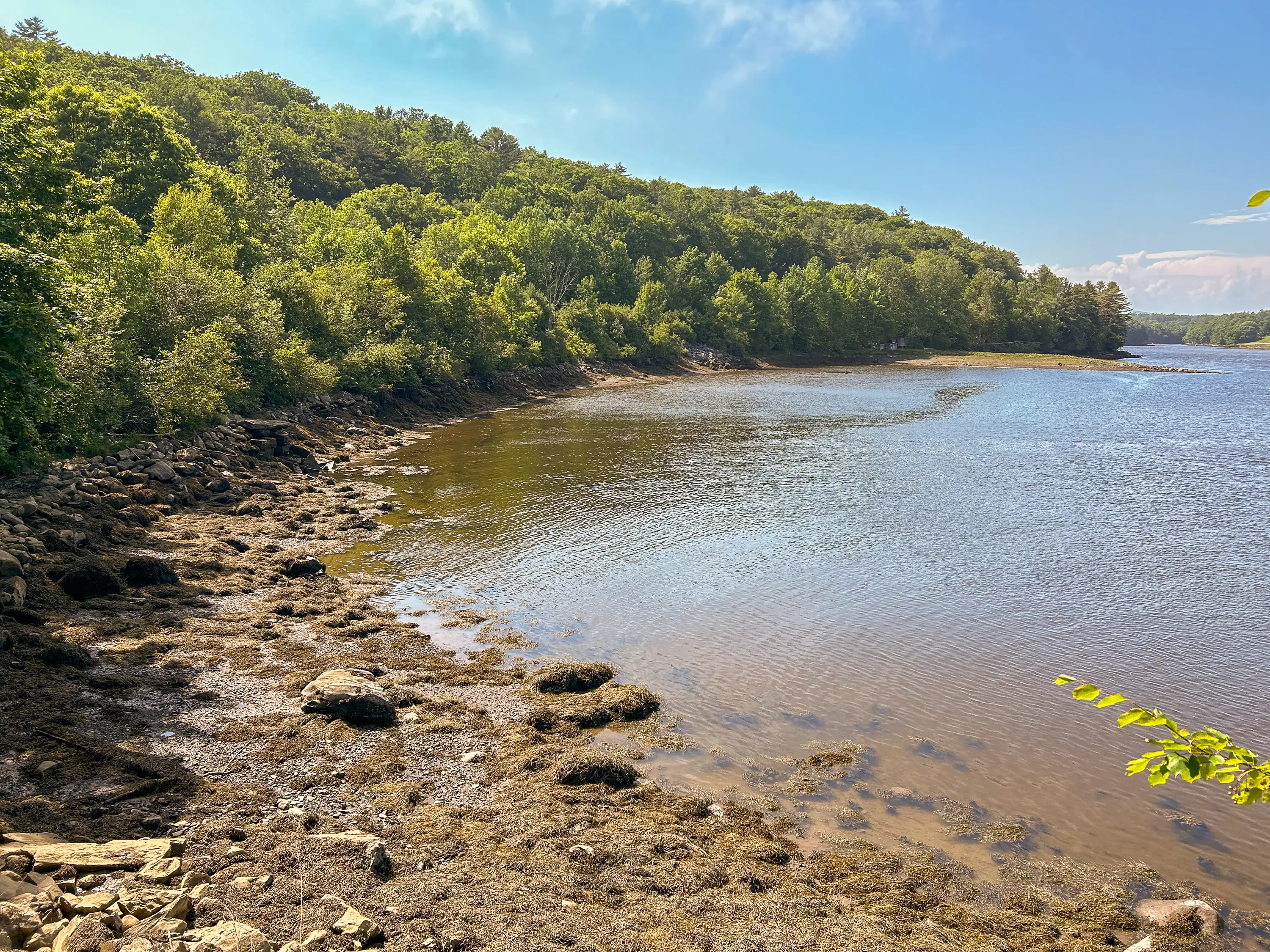 A shore of.a bay with rocks and trees on the left