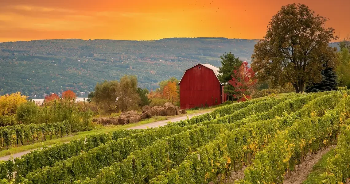 The 5 US states with the best wineries, according to a sommelier