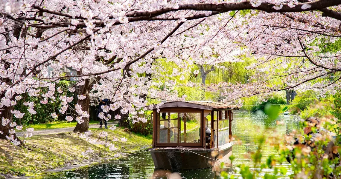 I visited Japan for the first time. The trip was great, but I could’ve easily avoided these 5 mistakes.