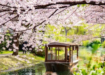 I visited Japan for the first time. The trip was great, but I could’ve easily avoided these 5 mistakes.