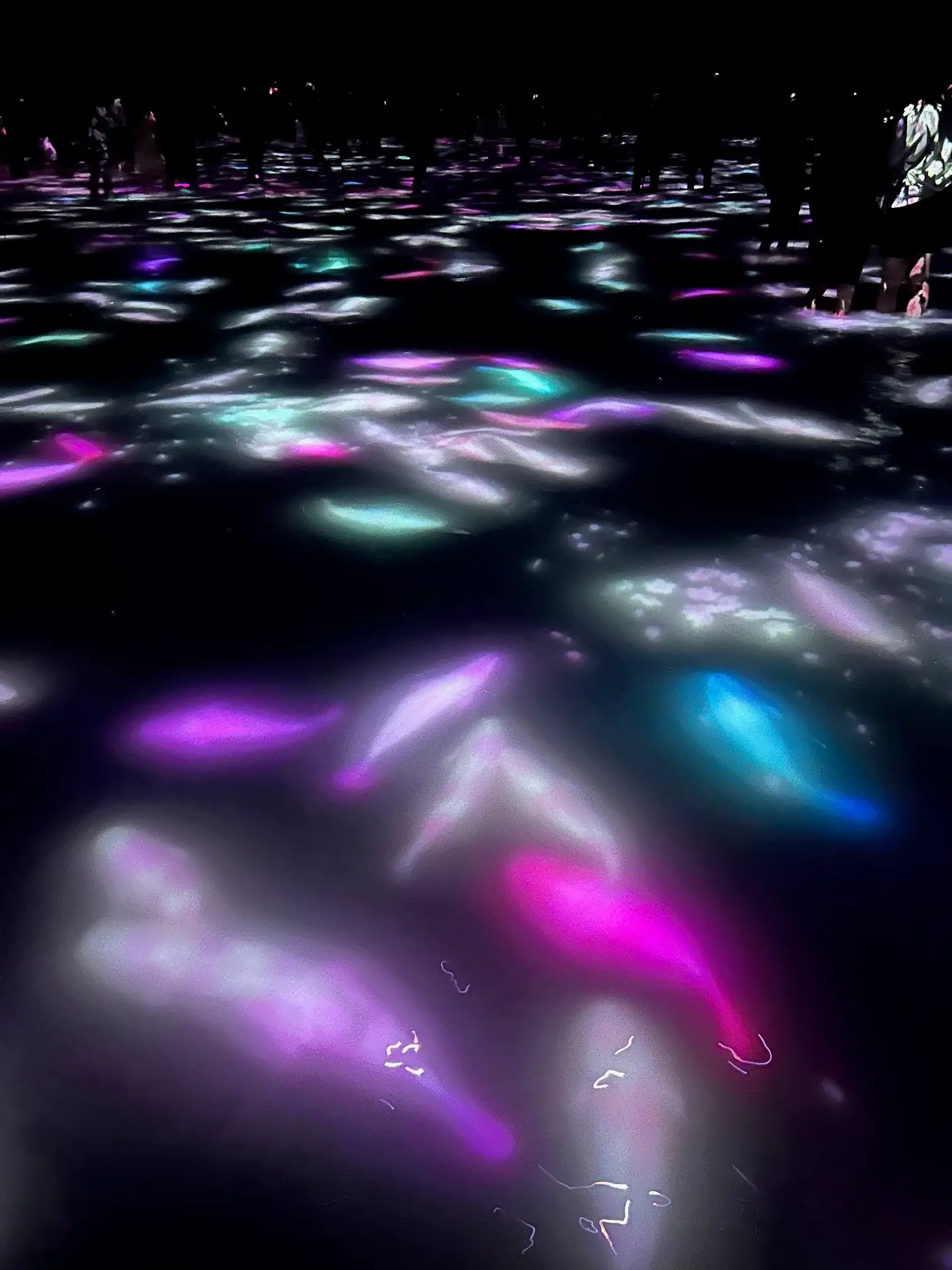 The room full of glowing fish in water at TeamLab Tokyo