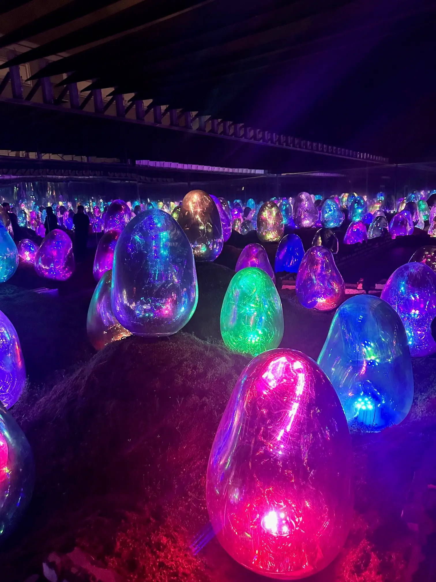 Glowing eggs at TeamLab Tokyo