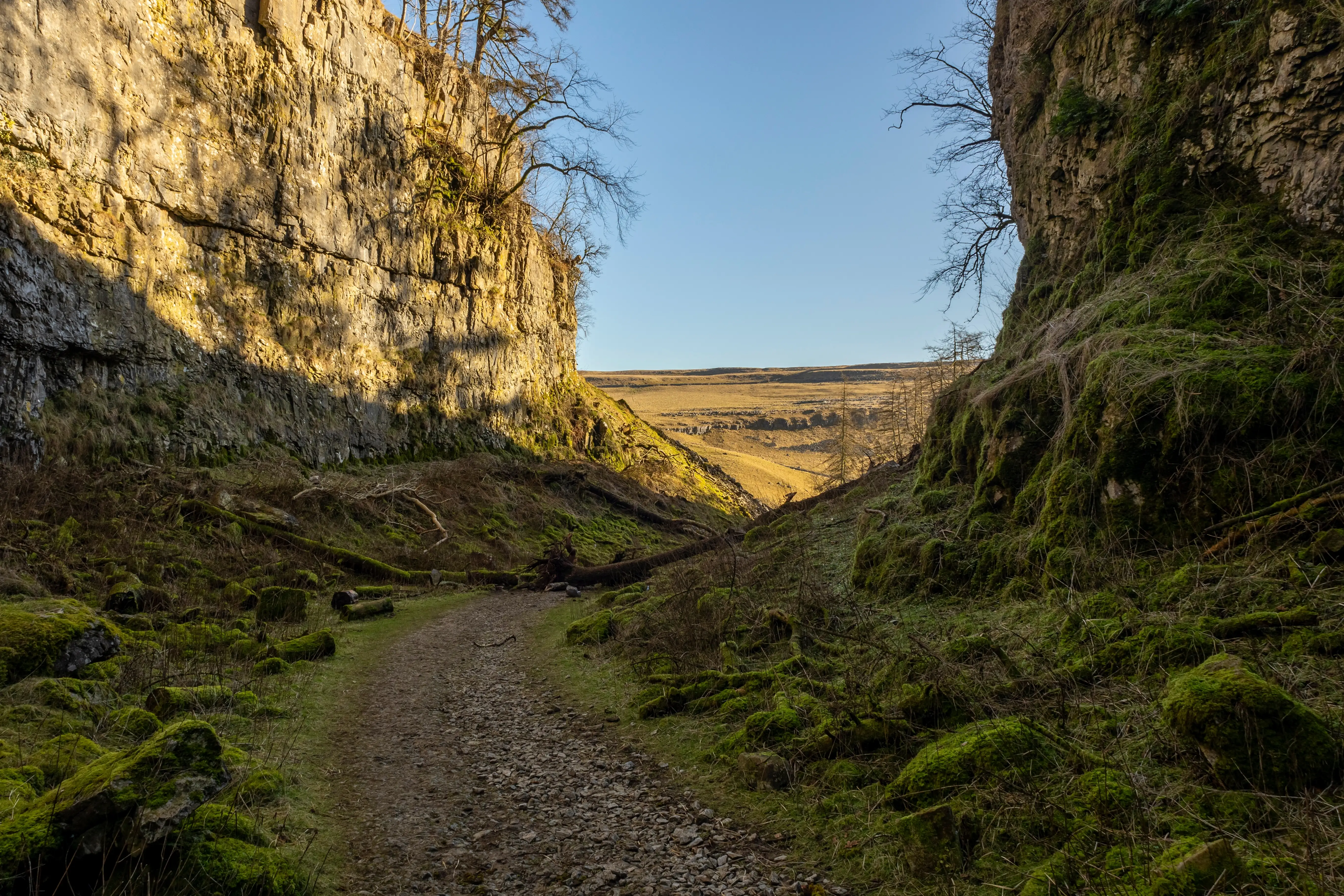 A nature trail in the UK.