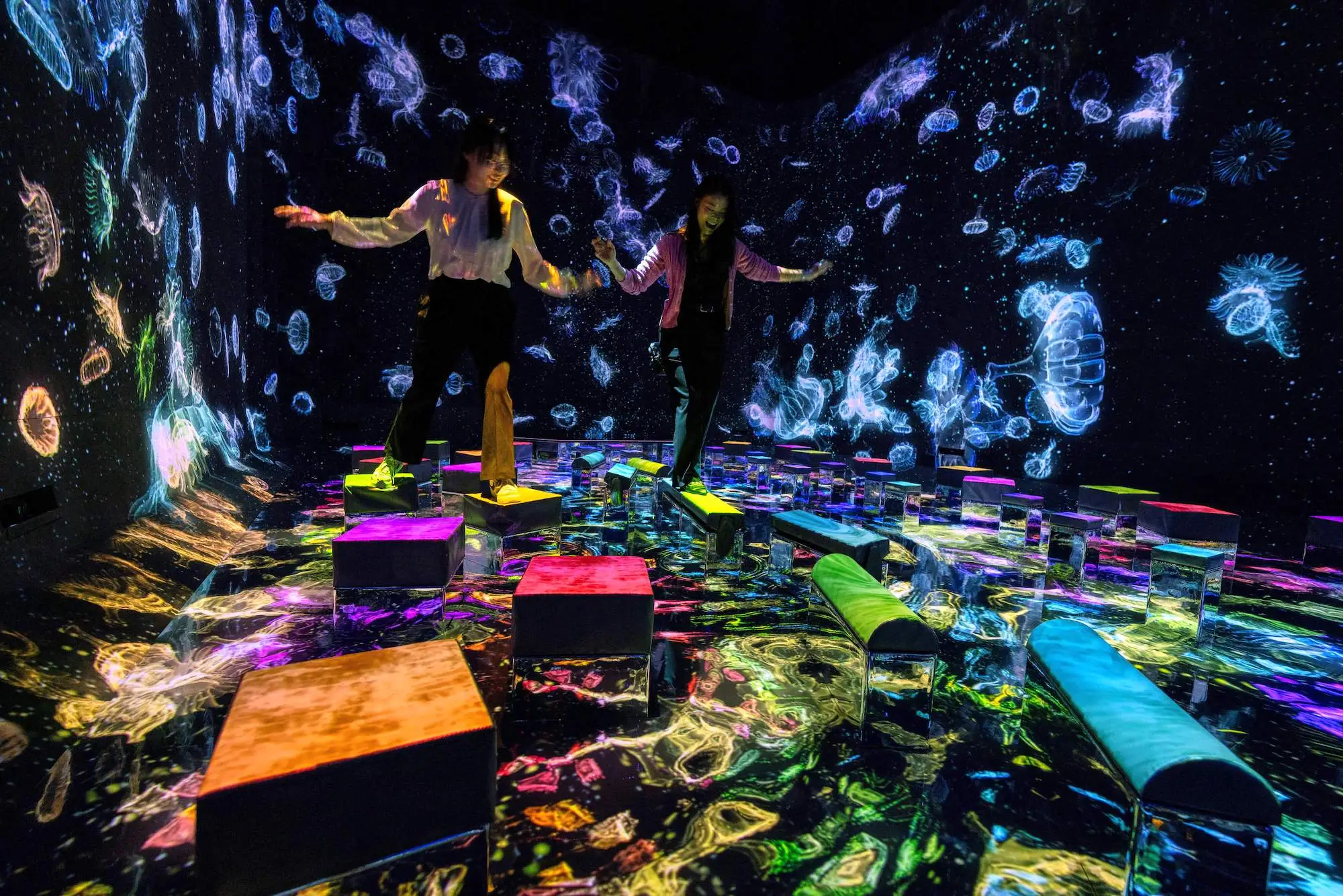 An exhibit at teamLab Planets in Tokyo
