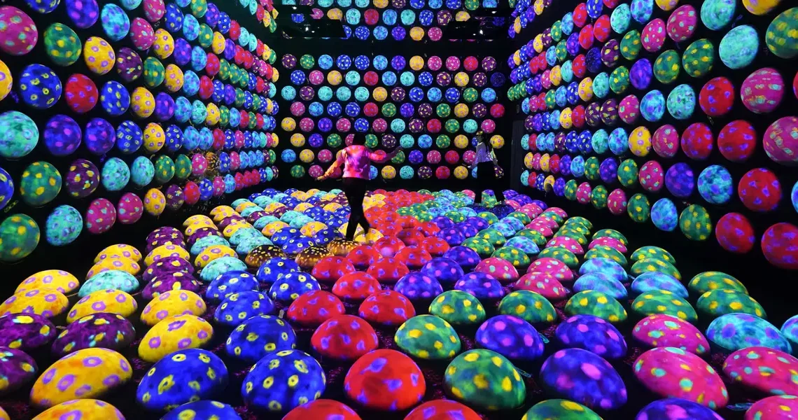 I thought this Tokyo museum would be a major tourist trap. It ended up being a highlight of my first trip to Japan.