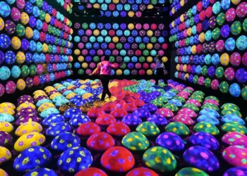 I thought this Tokyo museum would be a major tourist trap. It ended up being a highlight of my first trip to Japan.