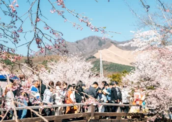 I went to Japan during peak cherry blossom season and found an easy way to escape the crowds at popular tourist attractions