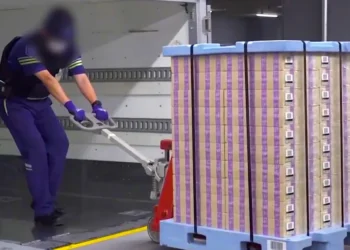 Why one of Asia’s poorest countries grows Japan’s cash