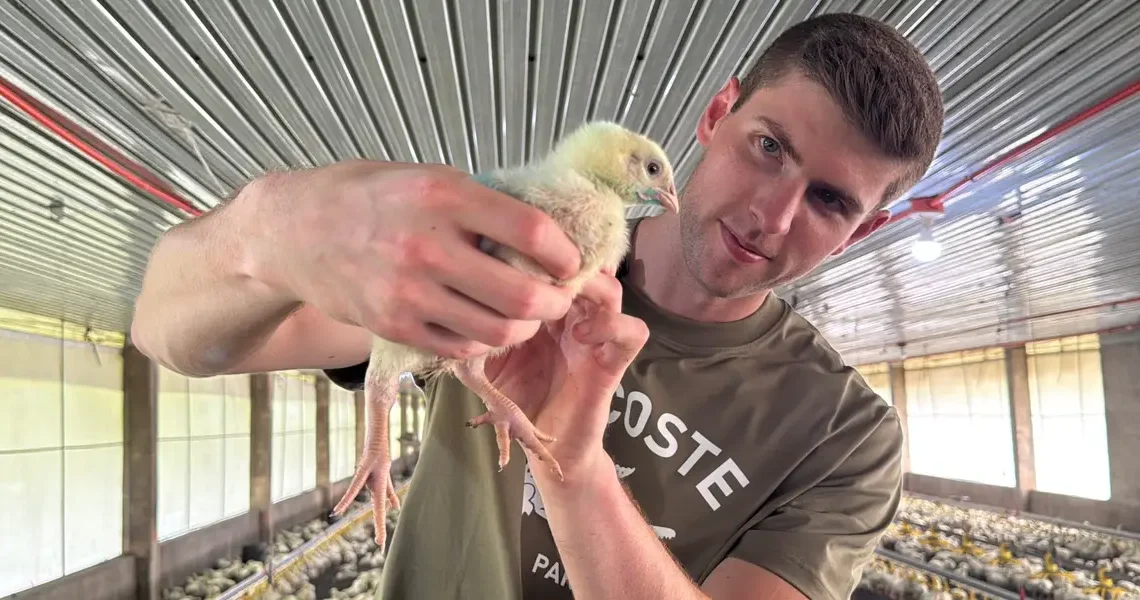 I got tired of the corporate hustle, so I quit my 6-figure banking job and opened a chicken farm in the Philippines