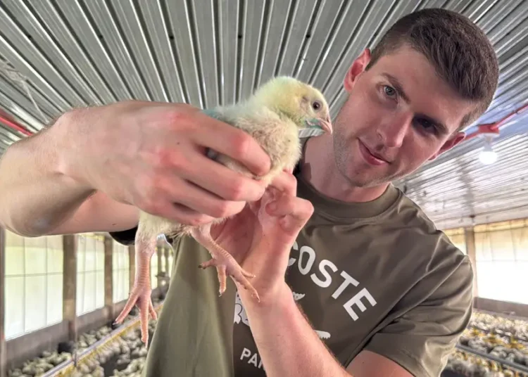 I got tired of the corporate hustle, so I quit my 6-figure banking job and opened a chicken farm in the Philippines