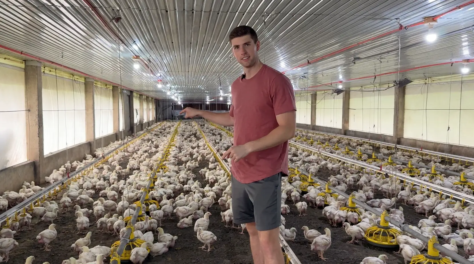 Andrew Fletcher in his farm surrounded by chickens.