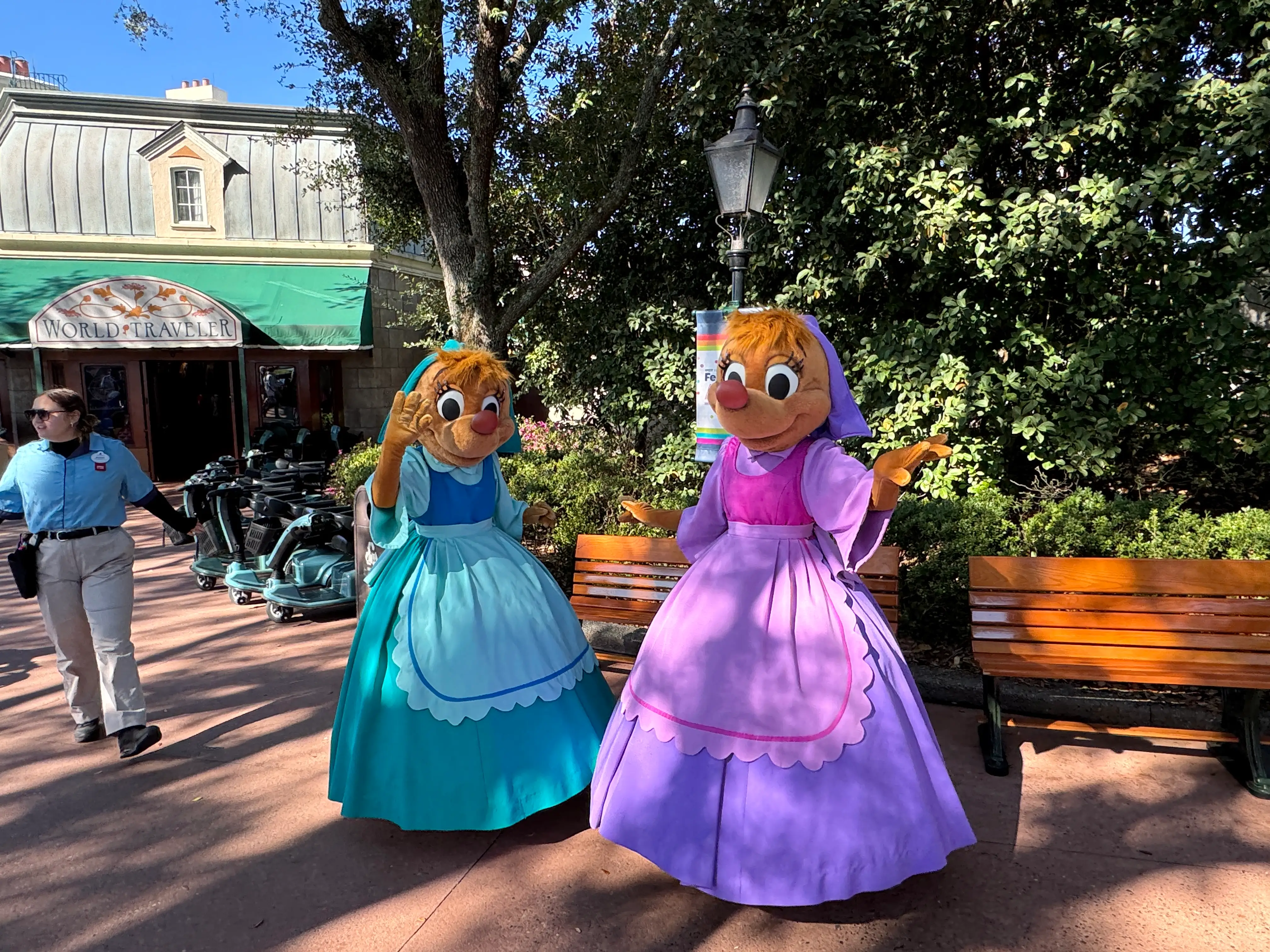 Mice costumes at Disney