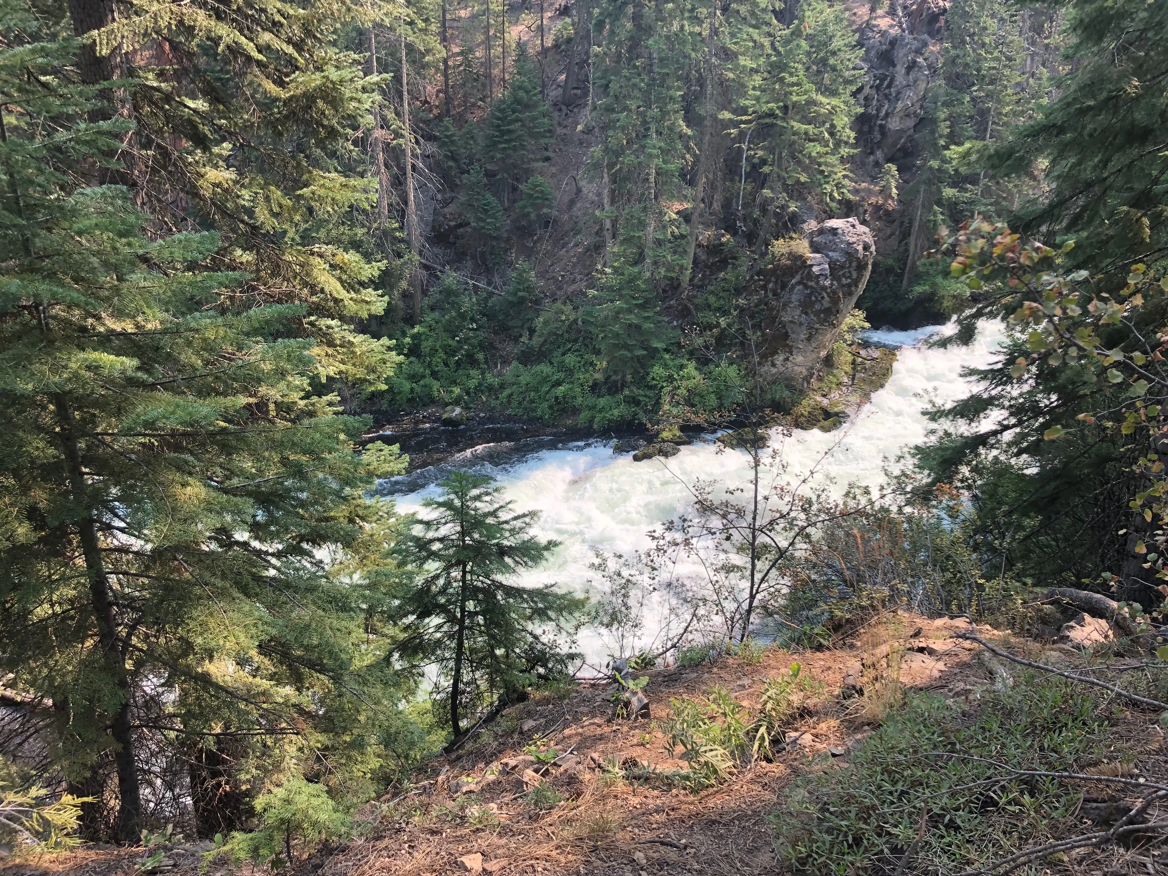 Aerial view of water, trees in Bend