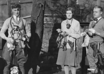 Rat catchers, powder monkeys, and resurrectionists: 20 jobs that no longer exist