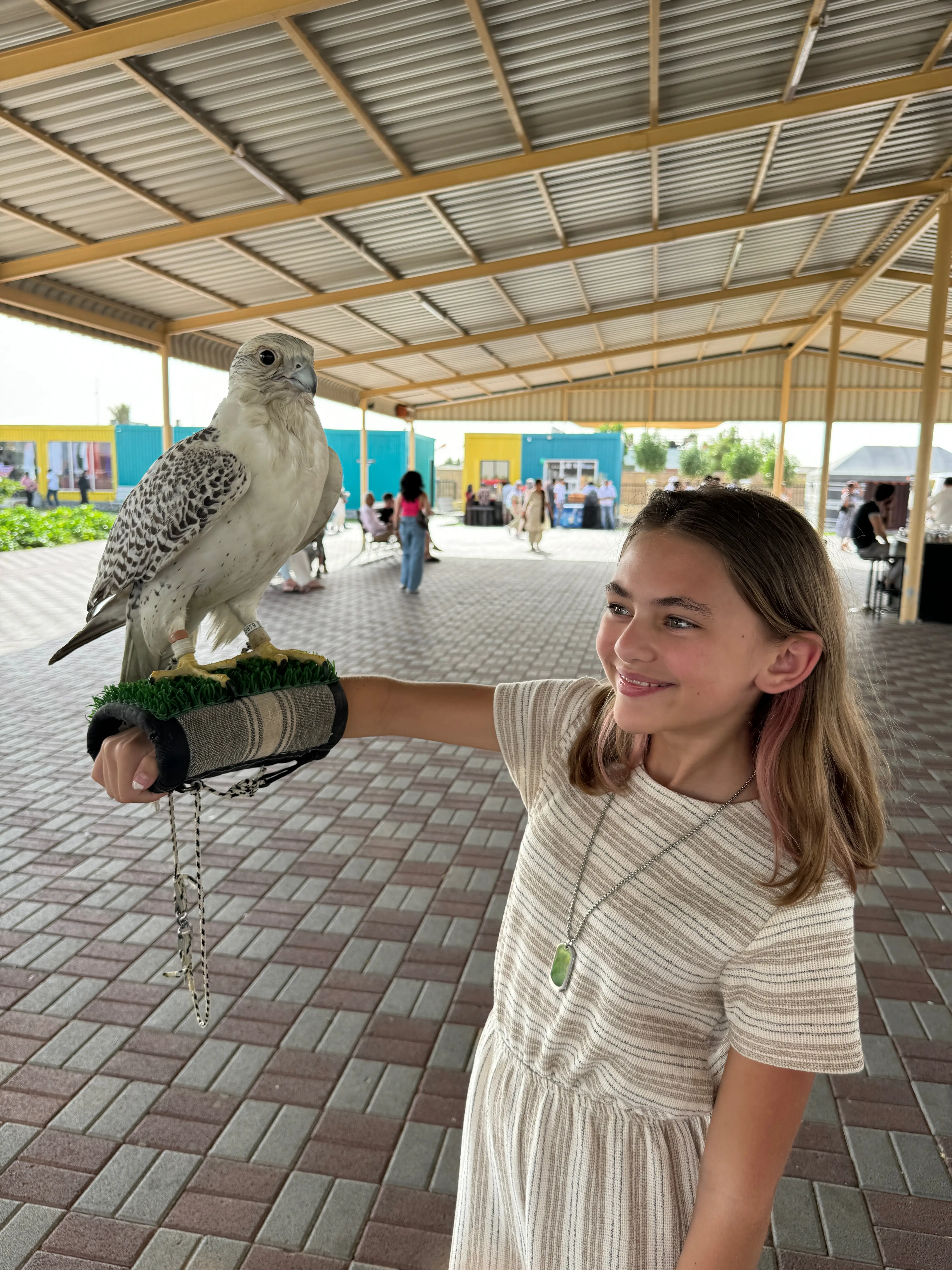 Child with bird on arm
