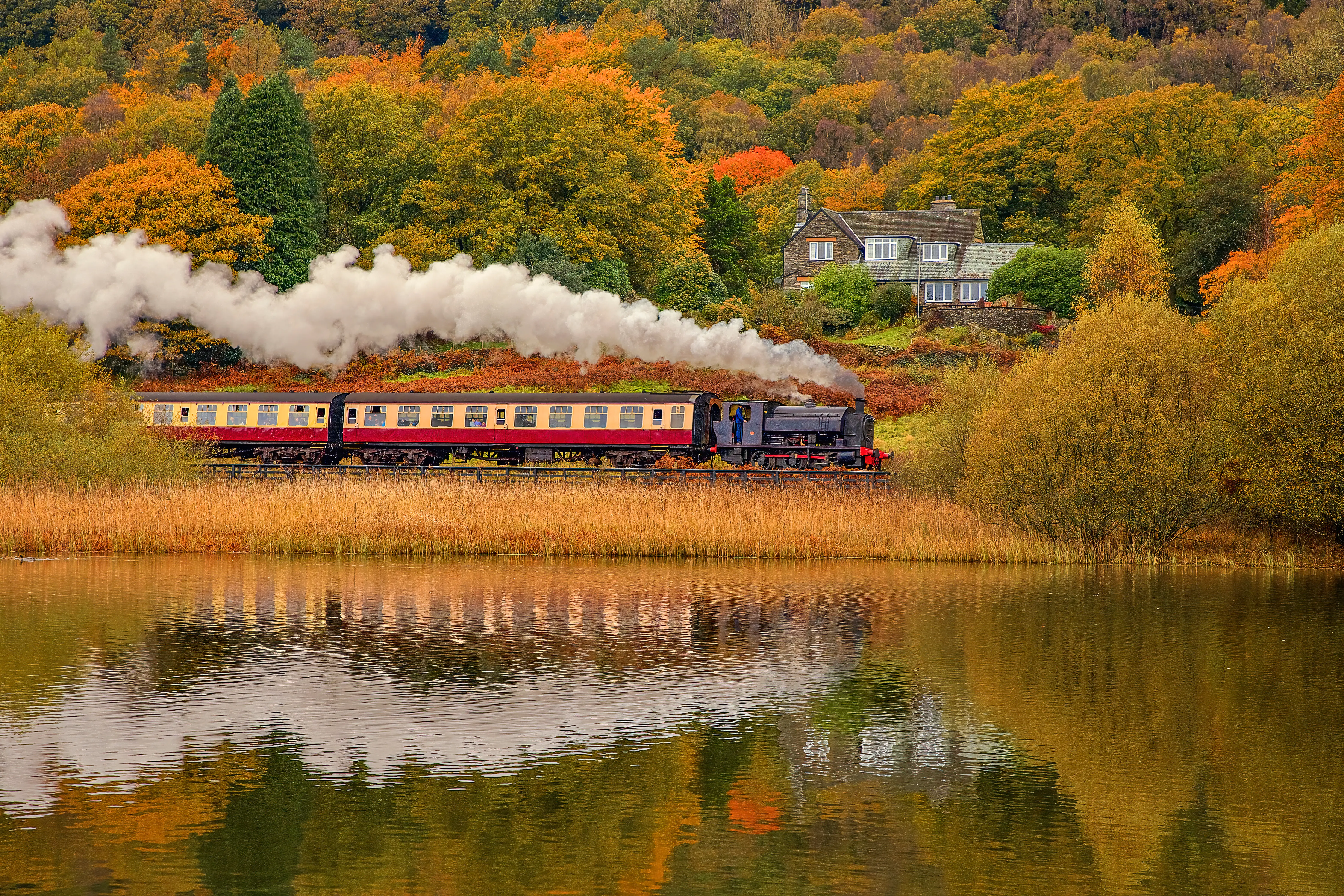 TRain driving through fall foliage in lake district