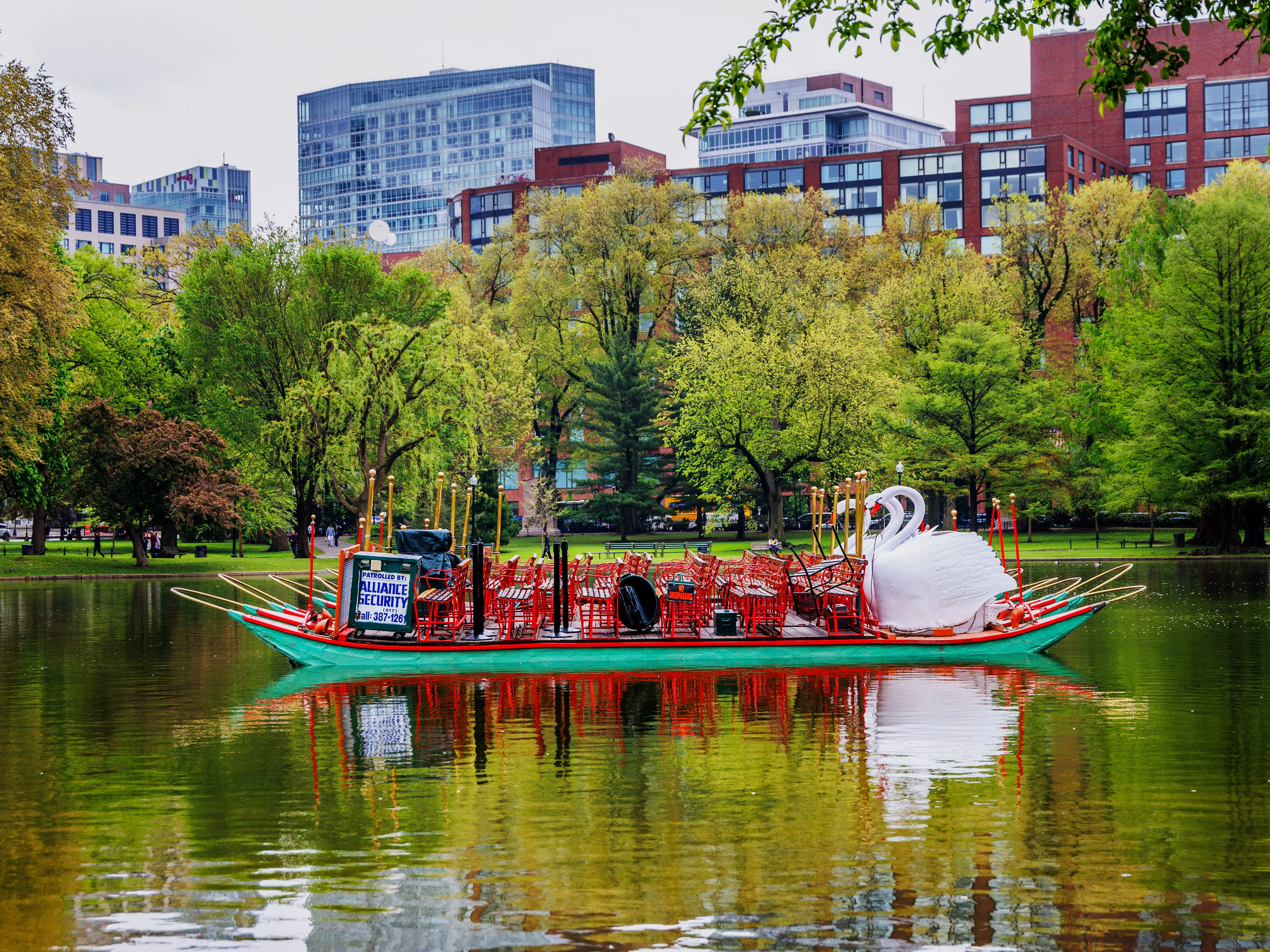 The Swan Boats in Boston Public Garden