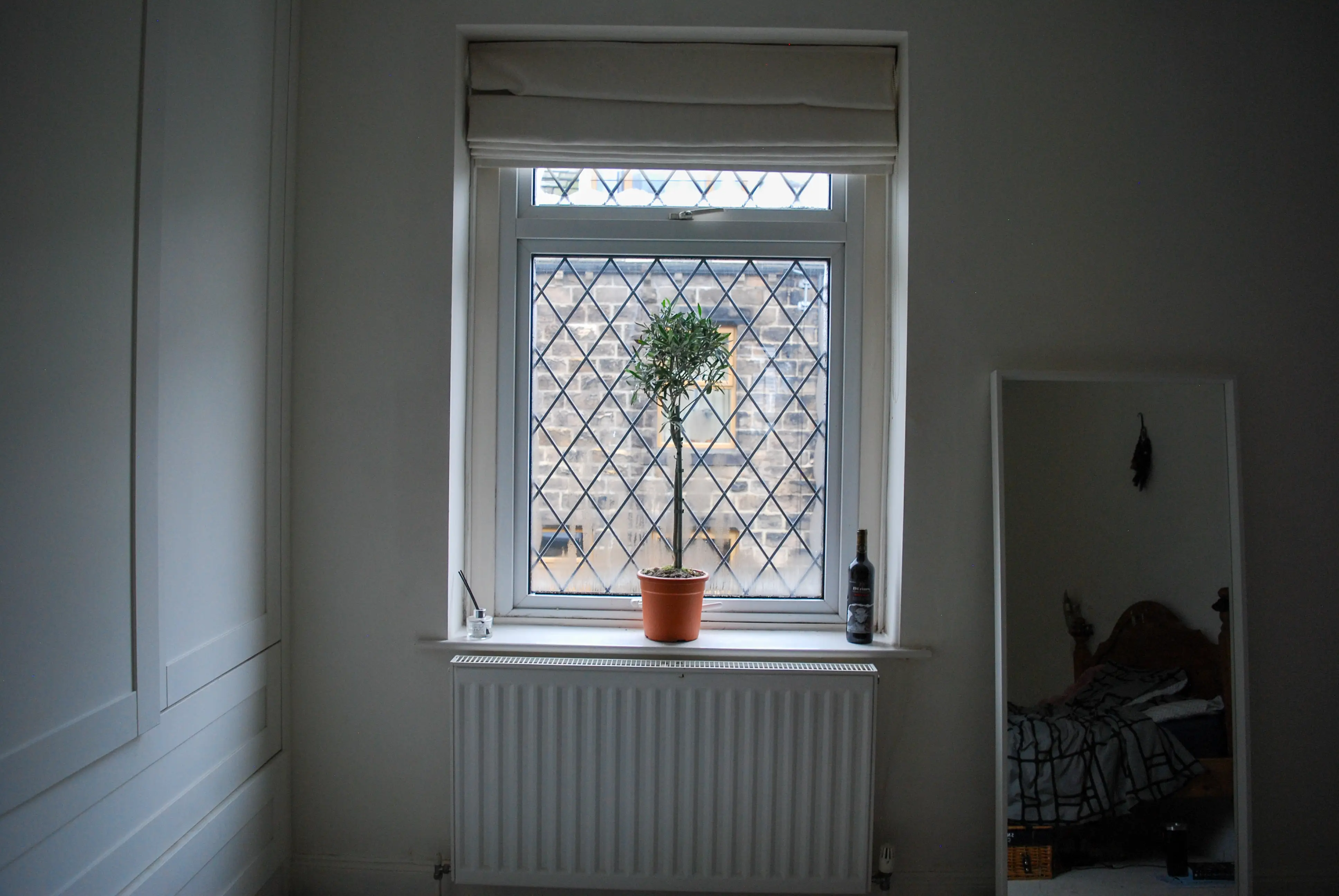 Window with white radiator under it and plant on top