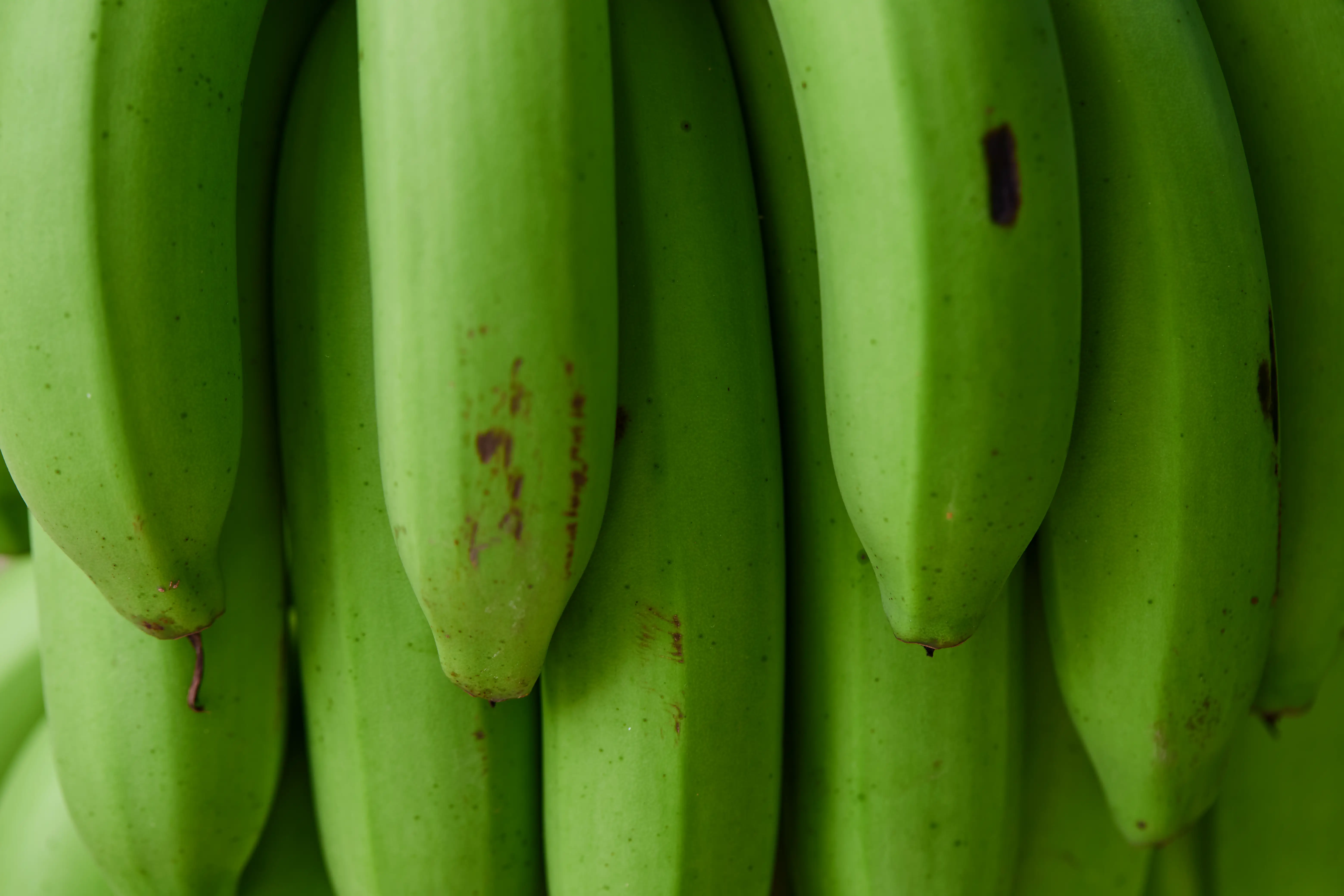 Green bananas.