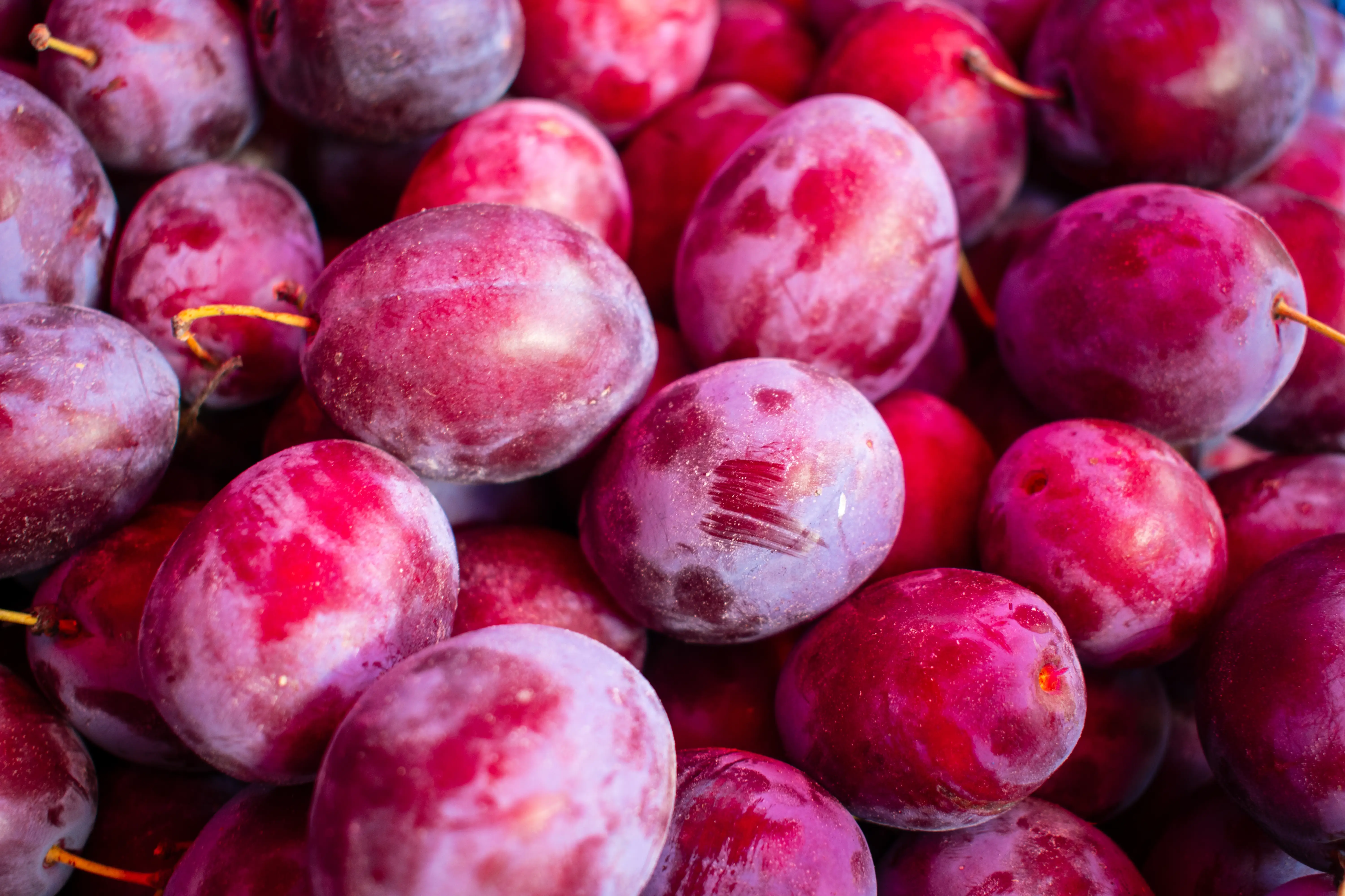 Plums at a farmers market.