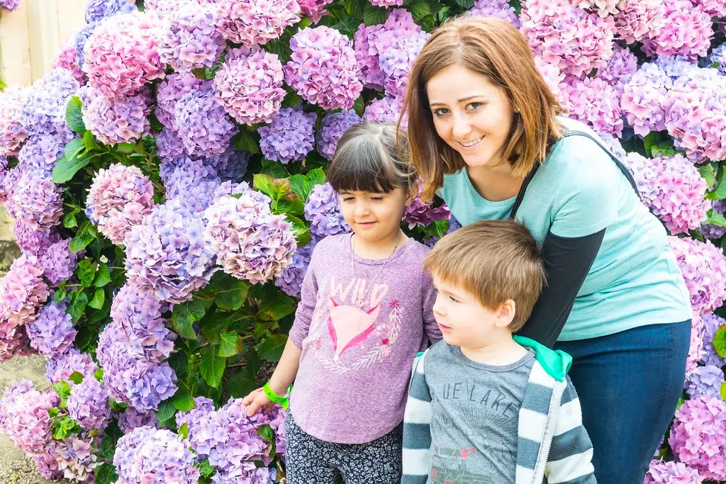 Kids smiling with woman in front of purple hydrangeas