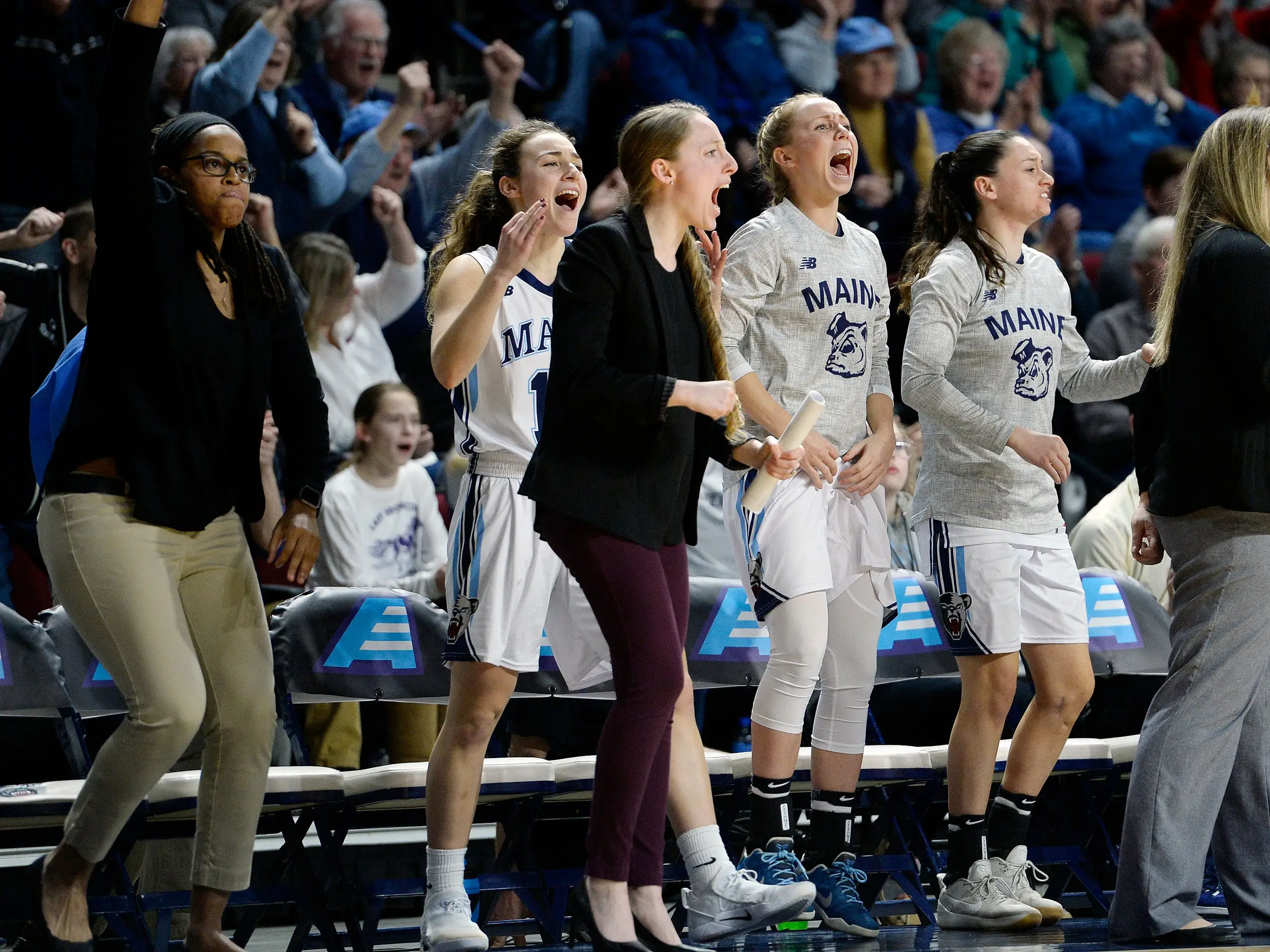 The bench starts to celebrate as University of Maine pulls away from Hartford