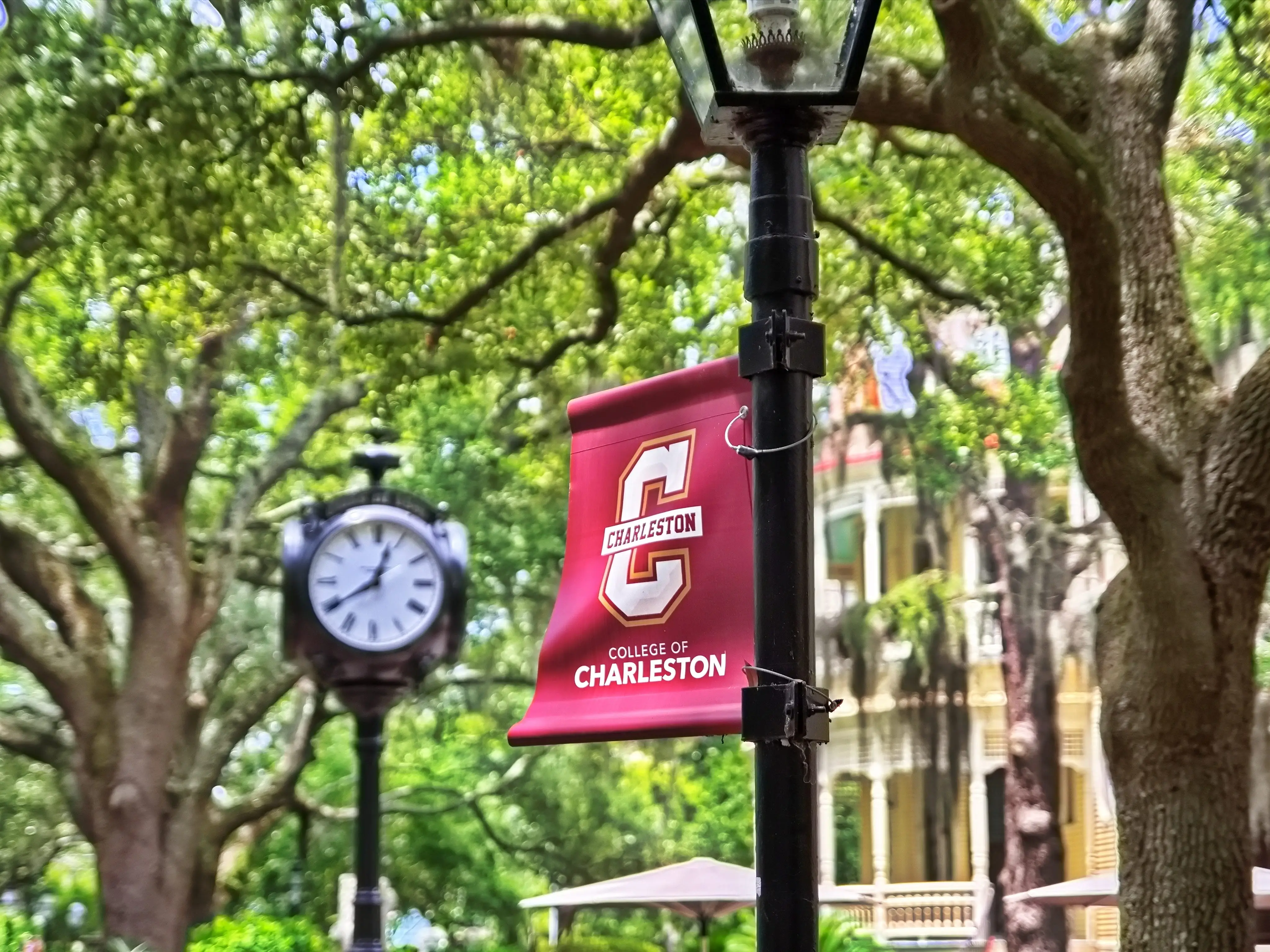 Close-up of College of Charleston banner with vintage lamppost and campus clock surrounded by oak trees and lush greenery.