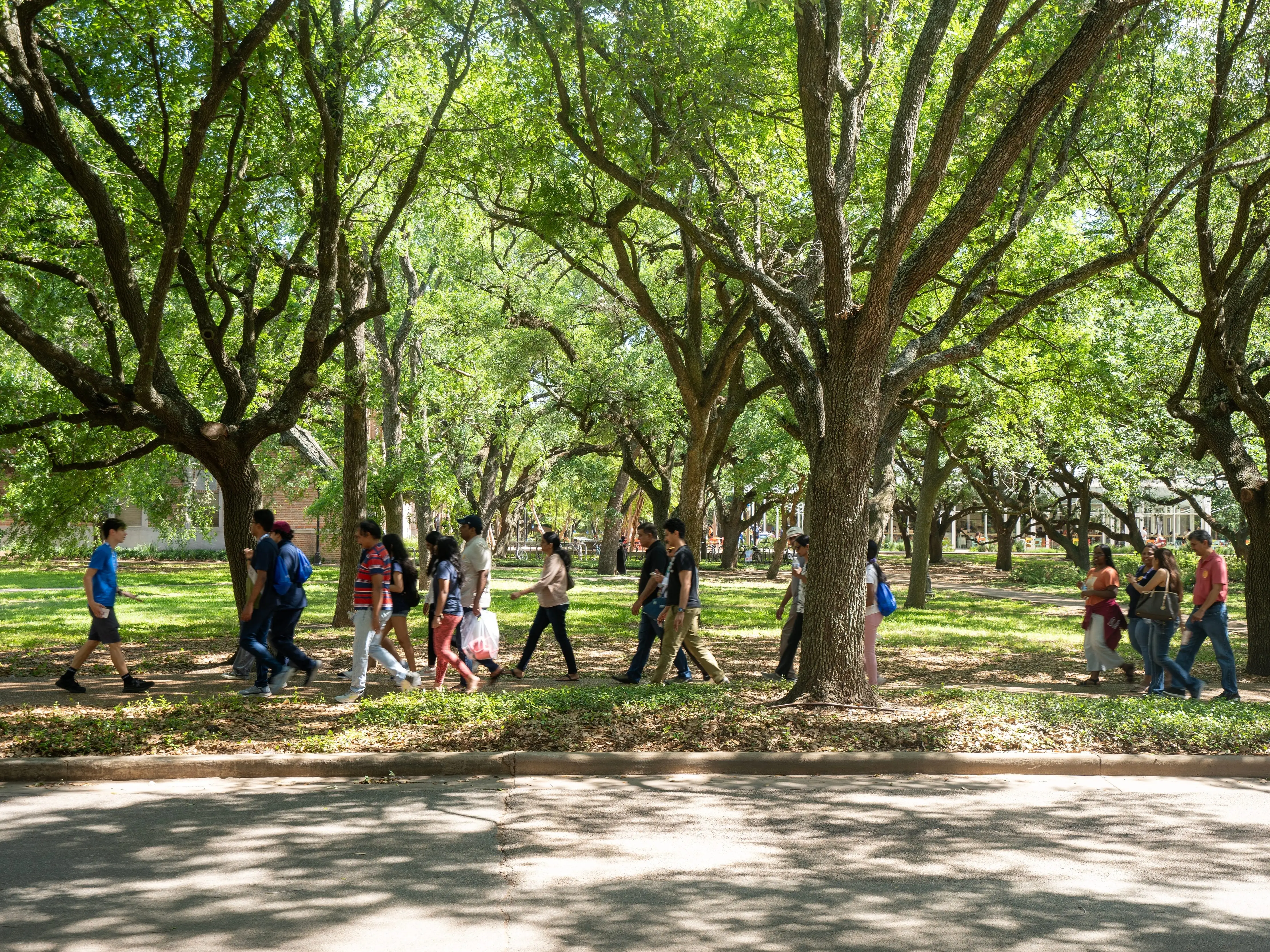 Student-led admission tours on Rice University's campus in Houston, Texas, for new undergraduate students and their families on Owl Days 2025.