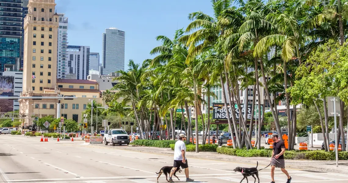 The Silicon Valley to Miami pipeline — by the numbers